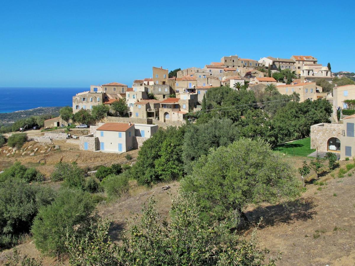 Apartment Residence De La Plage - Iru151 By Interhome LʼÎle-Rousse Buitenkant foto